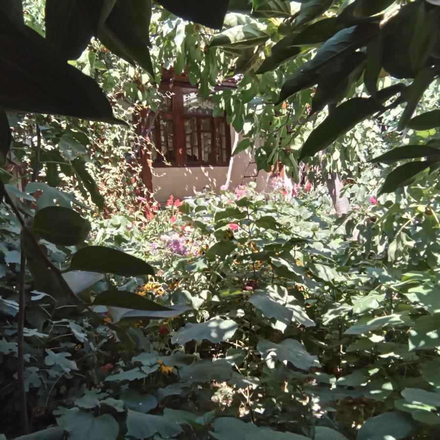 אוש Lovely Home For You מראה חיצוני תמונה