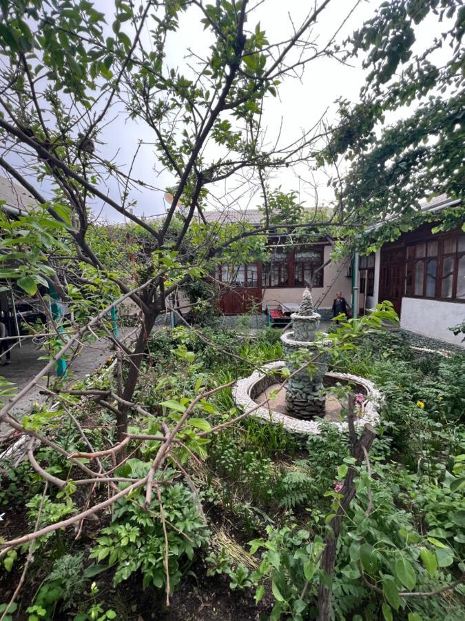 אוש Lovely Home For You מראה חיצוני תמונה