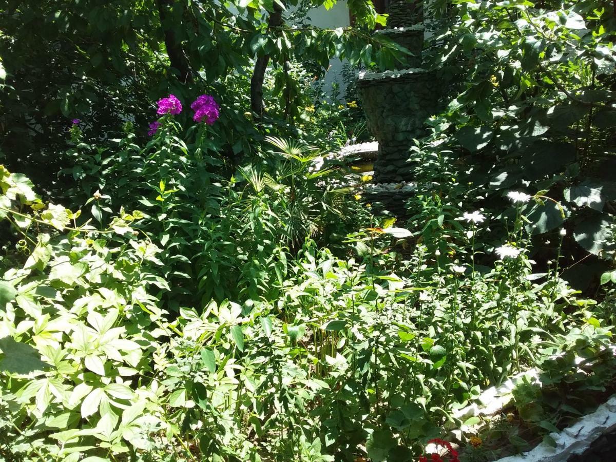 אוש Lovely Home For You מראה חיצוני תמונה
